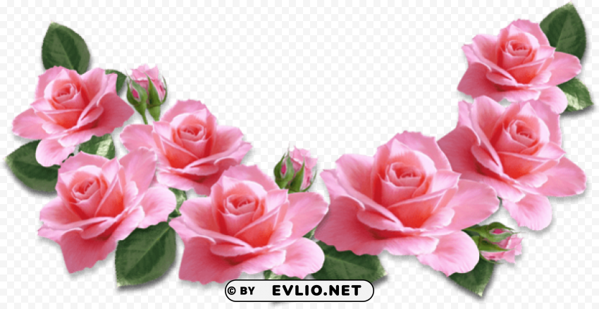 pink roses decoration Free PNG images with transparent layers diverse compilation