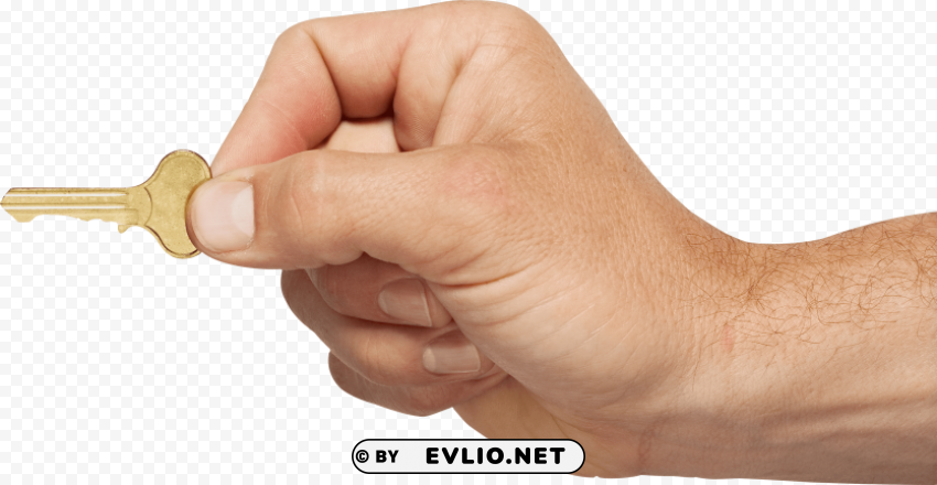Hands Isolated Icon With Clear Background PNG