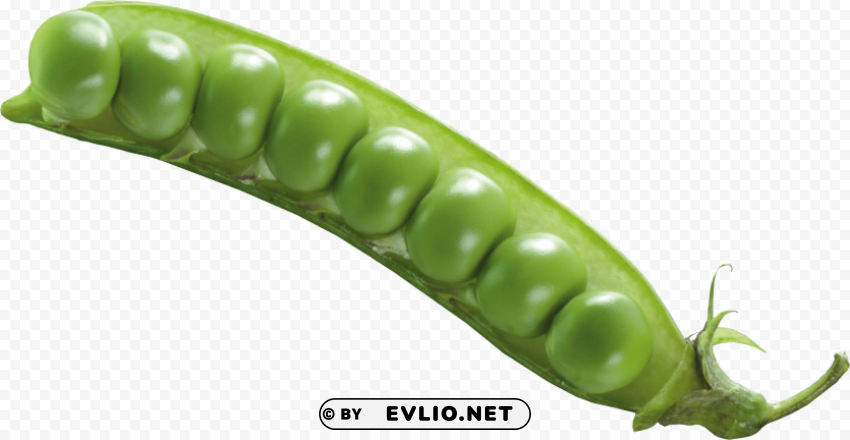 pea Free PNG images with transparent background