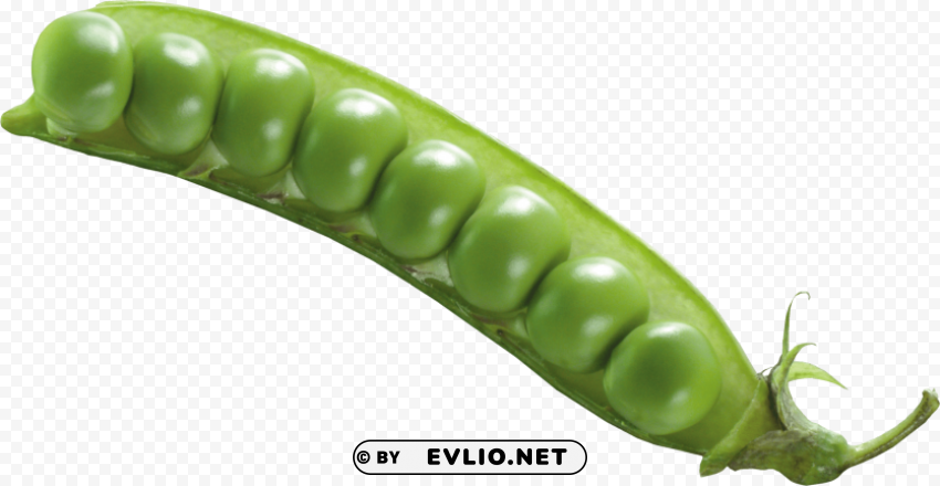 Pea Free PNG Images With Transparent Background