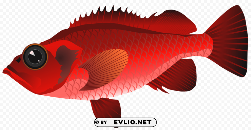 Red Fish Clear Background PNG Elements