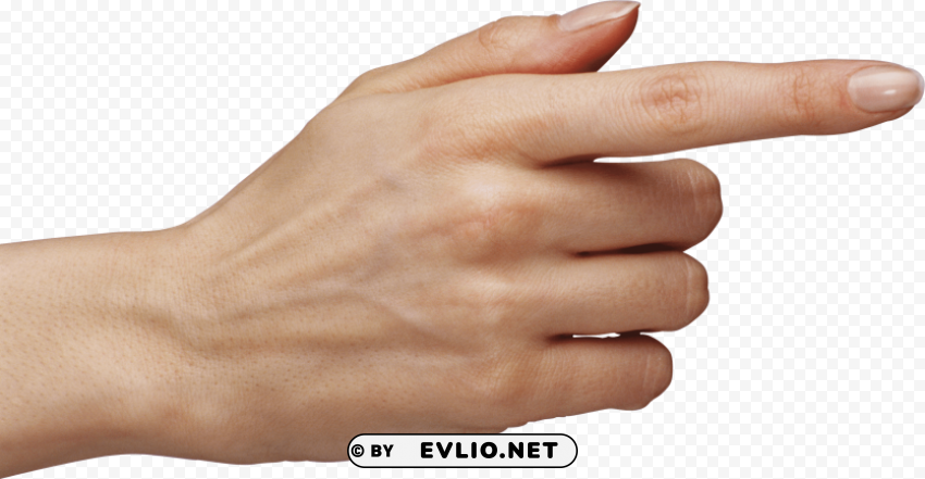 fingers Isolated PNG Graphic with Transparency