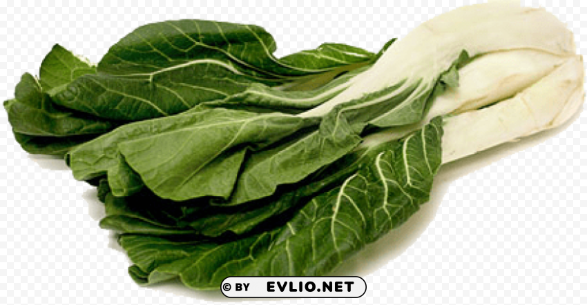 bok choy file Isolated Subject on HighQuality Transparent PNG