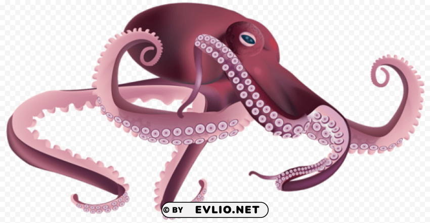 octopus PNG Isolated Subject with Transparency