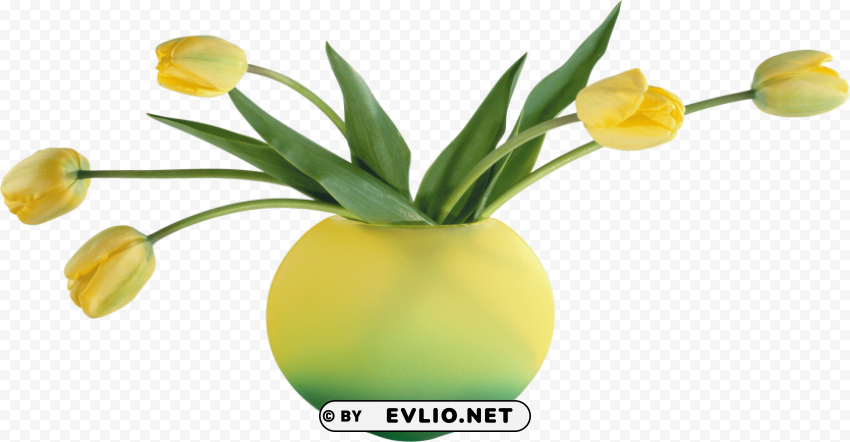 vase Clean Background Isolated PNG Icon