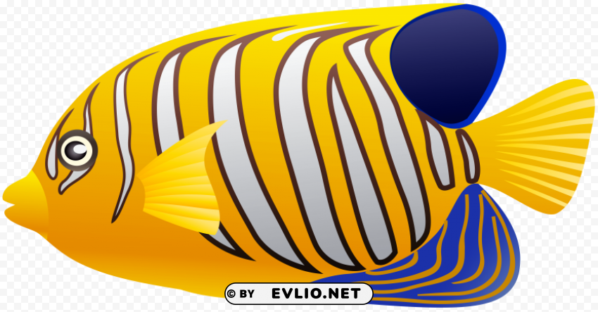 yellow fish Free PNG images with transparent layers compilation