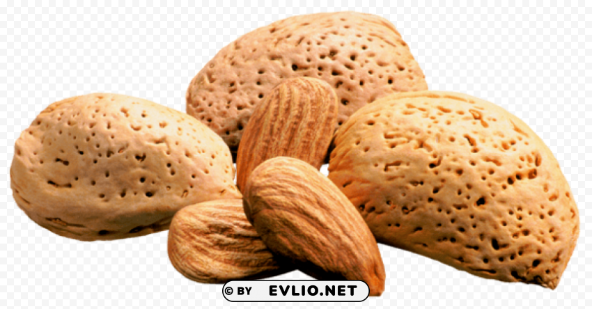 Almonds PNG Graphics With Clear Alpha Channel