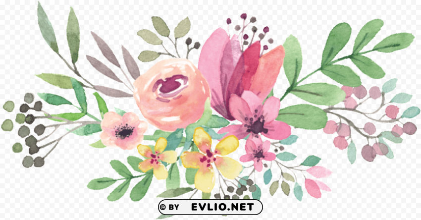 watercolor flowers vector PNG Image Isolated with Transparent Clarity