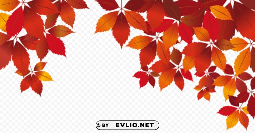 fall decoration PNG images with transparent overlay