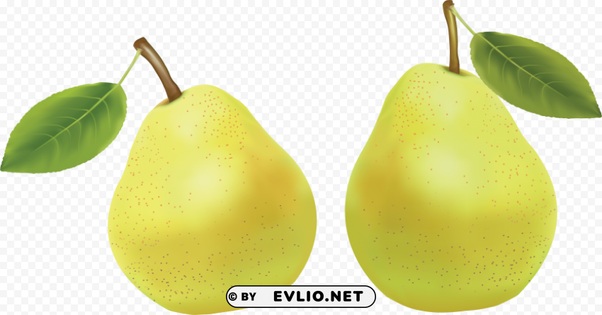 pear Isolated Item on Transparent PNG Format