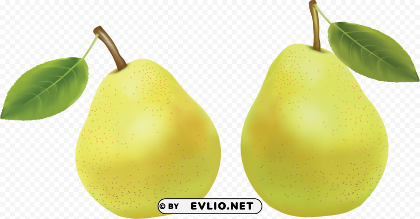 pear Isolated Object with Transparent Background in PNG