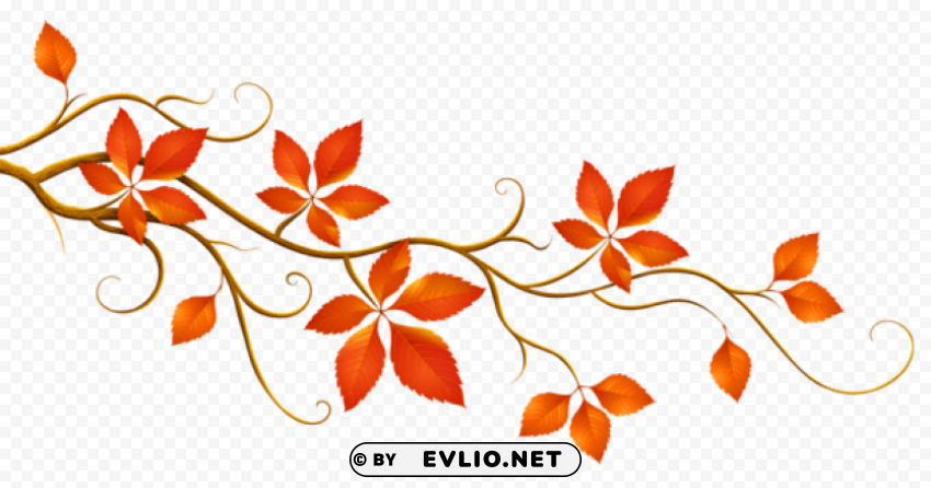 decorative branch with autumn leaves Transparent Cutout PNG Isolated Element