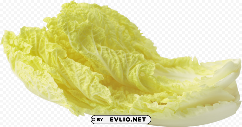 salad Transparent Background Isolated PNG Art