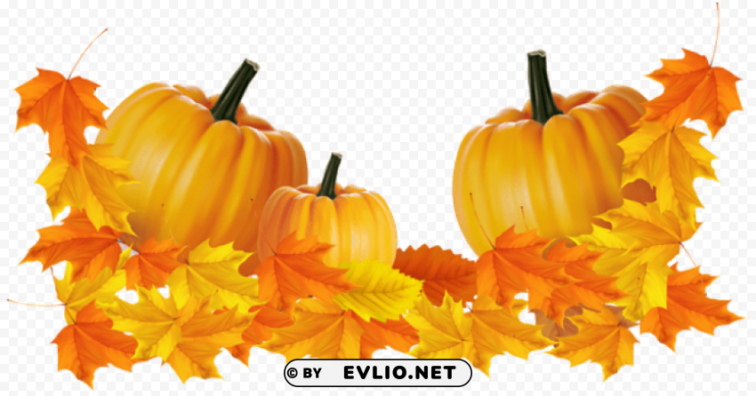 transparent thanksgiving pumpkin decor PNG design