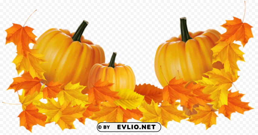 transparent thanksgiving pumpkin decor PNG design elements