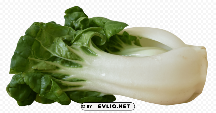 bok choy Isolated Subject in Transparent PNG Format