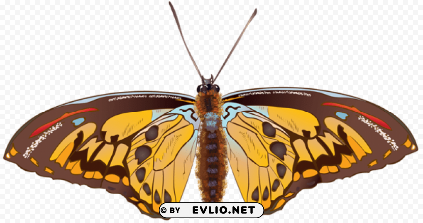 brown butterfly PNG transparent photos library clipart png photo - e7c37097