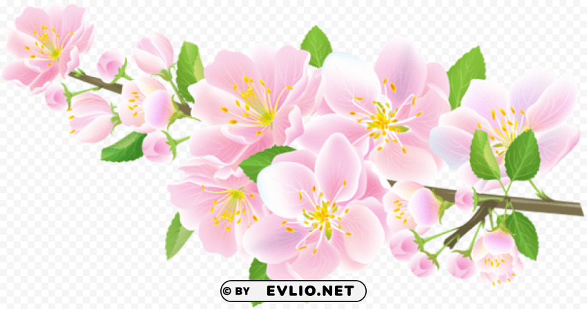 spring branch pink transparent PNG images with alpha channel selection