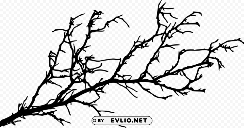 tree branch Isolated Design Element in HighQuality Transparent PNG