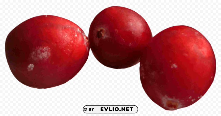 Cranberry Isolated Element with Transparent PNG Background