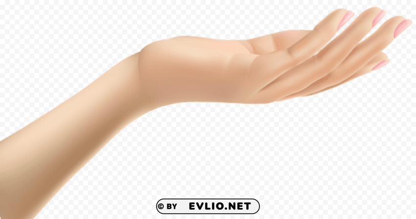female hand PNG Image with Transparent Isolation