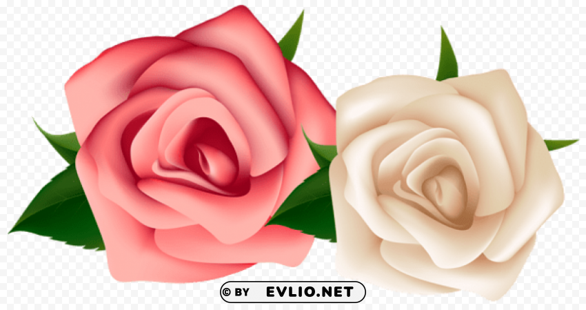 PNG image of red and white roses Free PNG images with alpha channel variety with a clear background - Image ID 83d9d754