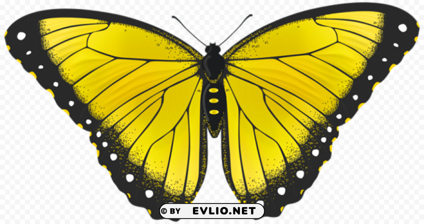 Yellow Butterfly Transparent PNG Graphics Complete Collection
