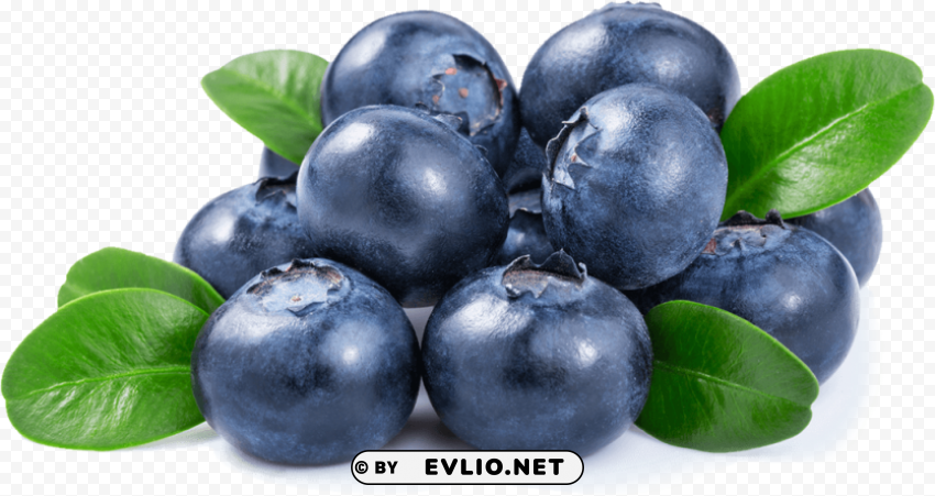 blueberries Clear Background PNG Isolated Element Detail