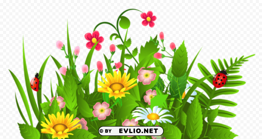 cute grass and flowers Isolated Object on Transparent PNG