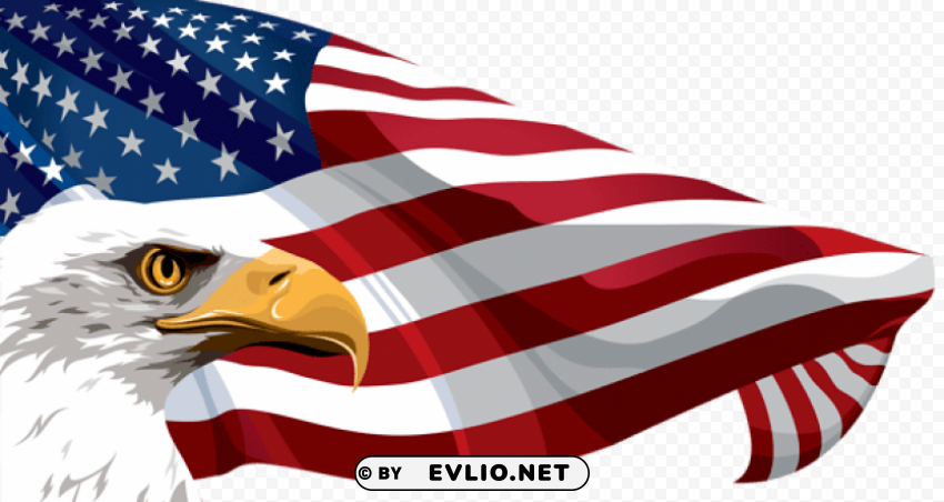 american flag and eagle transparent Clear Background PNG Isolated Subject
