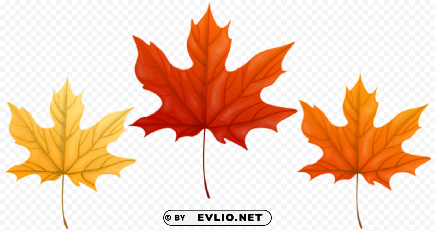 autumn leaves PNG Image Isolated with Transparent Detail clipart png photo - 405f6cfa