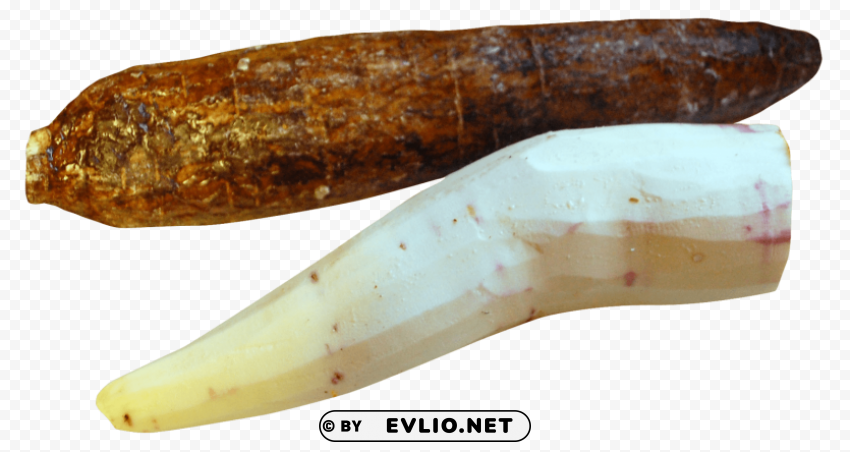 cassava peeled PNG file with alpha
