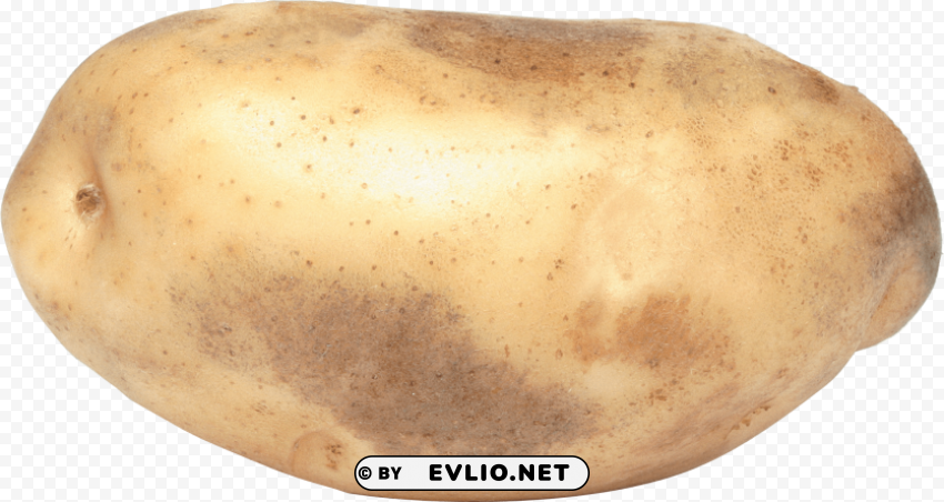 potato Transparent Background Isolated PNG Character