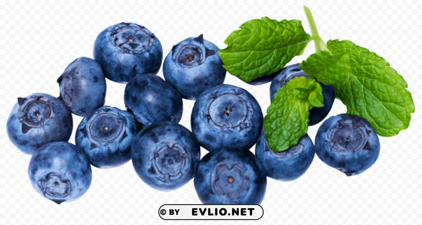 blueberries PNG graphics with alpha transparency bundle