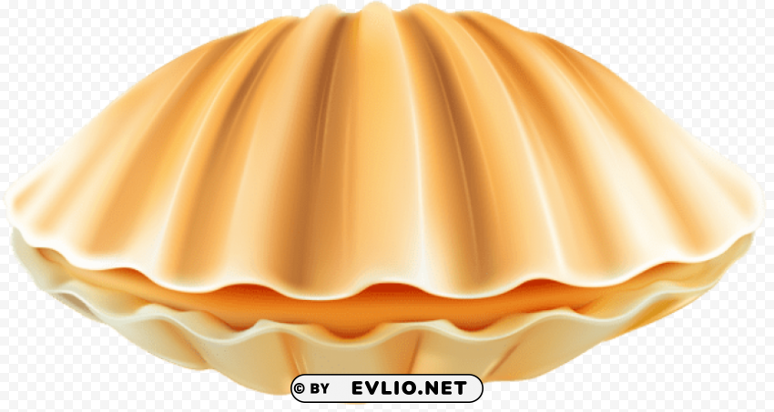 clam shell PNG transparent elements package