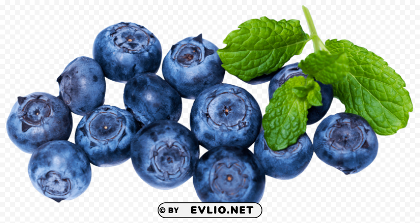 Fresh Blueberry Isolated Design in Transparent Background PNG