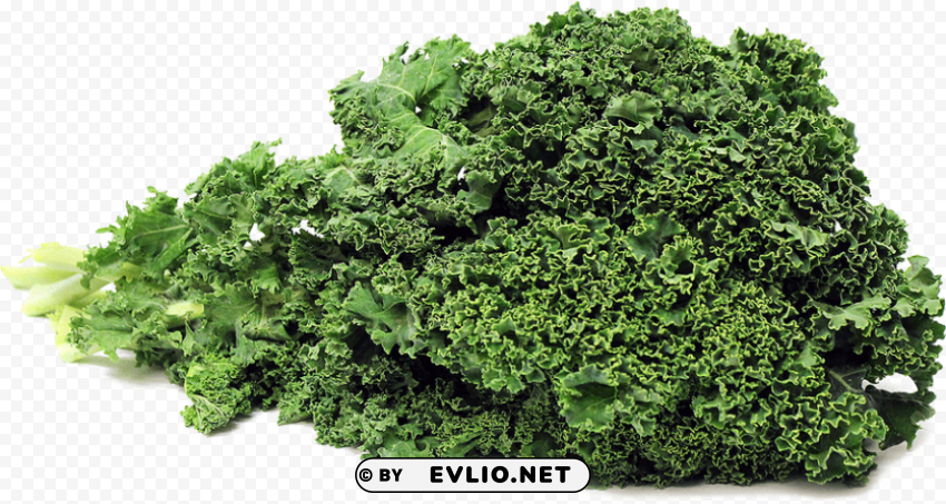 kale Transparent Background Isolated PNG Character