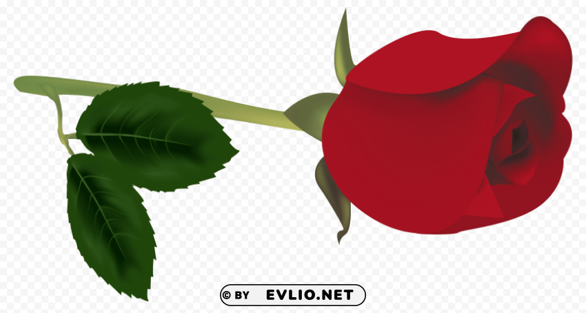 Red Rose Bud PNG Transparent Elements Compilation