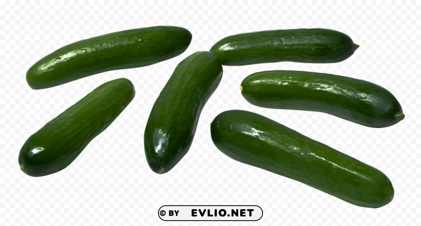 cucumber Transparent Background Isolation in PNG Format
