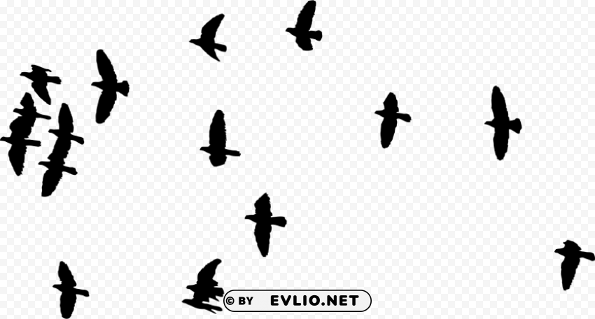flock of birds silhouette PNG images with transparent canvas variety