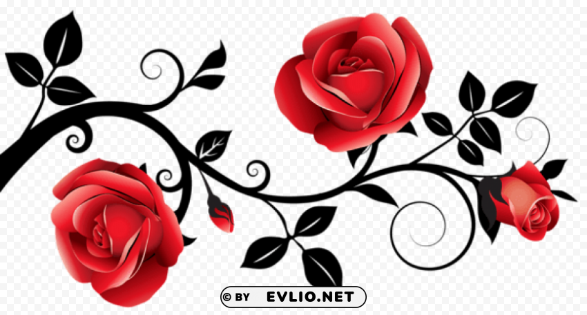red and black decorative roses PNG images with no watermark