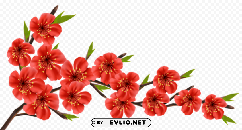 red spring branch PNG images with alpha transparency layer