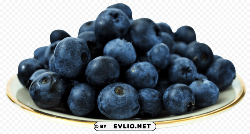 Blueberries on Plate Isolated Icon in Transparent PNG Format