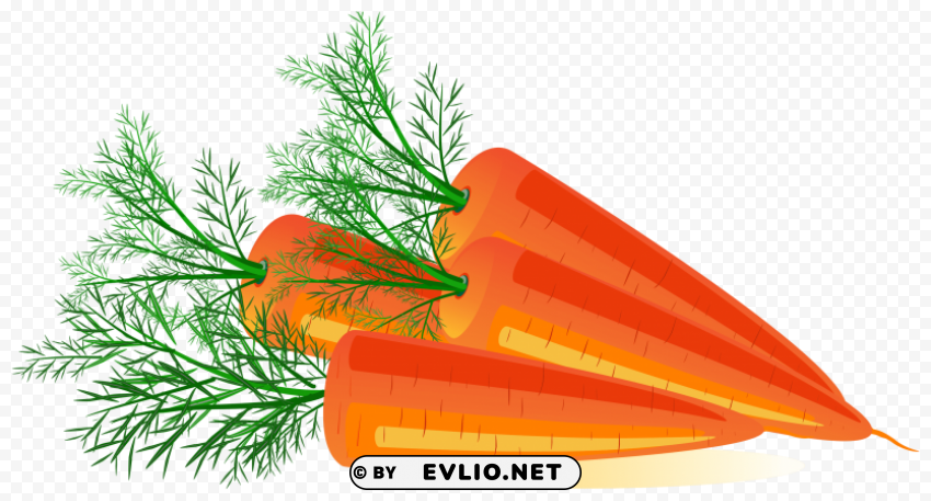 carrot PNG for social media