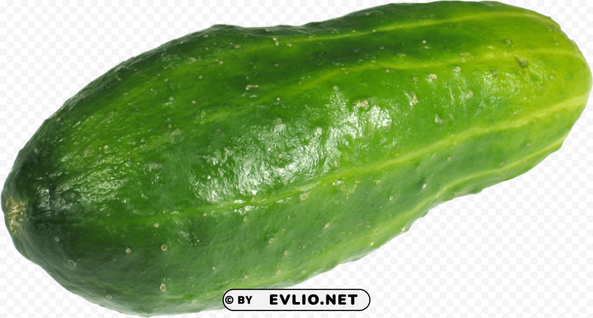cucumber Transparent PNG Isolated Artwork
