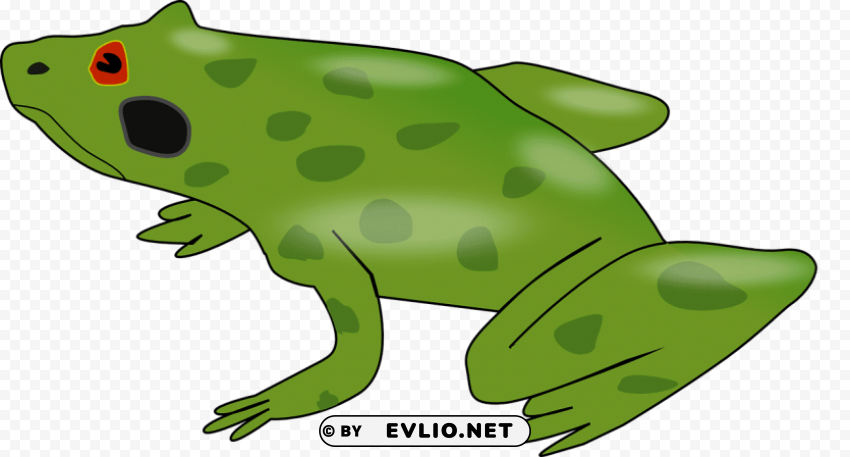 Frog Free Download PNG With Alpha Channel