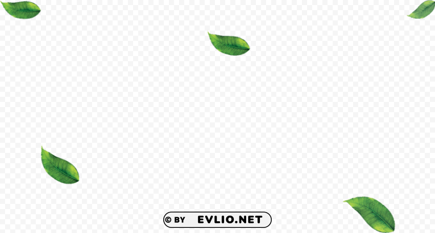 Leaf PNG Format