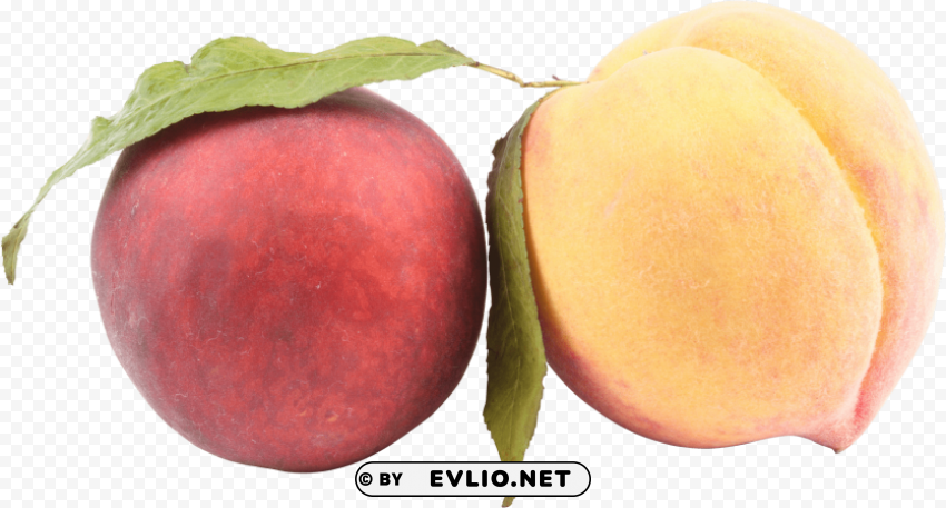 peach Isolated Subject in Transparent PNG
