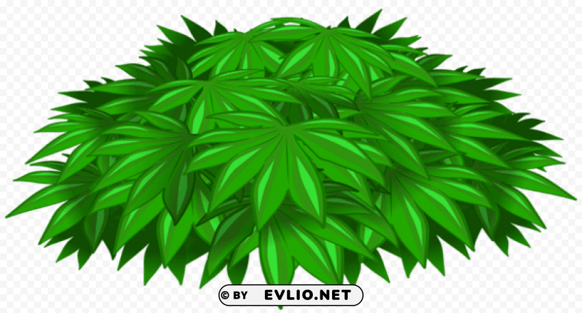 plant decotransparent Isolated Subject on HighQuality Transparent PNG