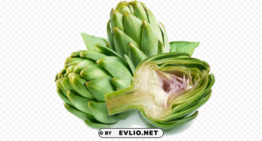 artichokes Isolated Graphic Element in Transparent PNG